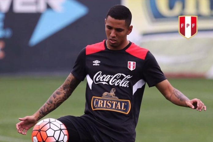 sergio-pena-andina
