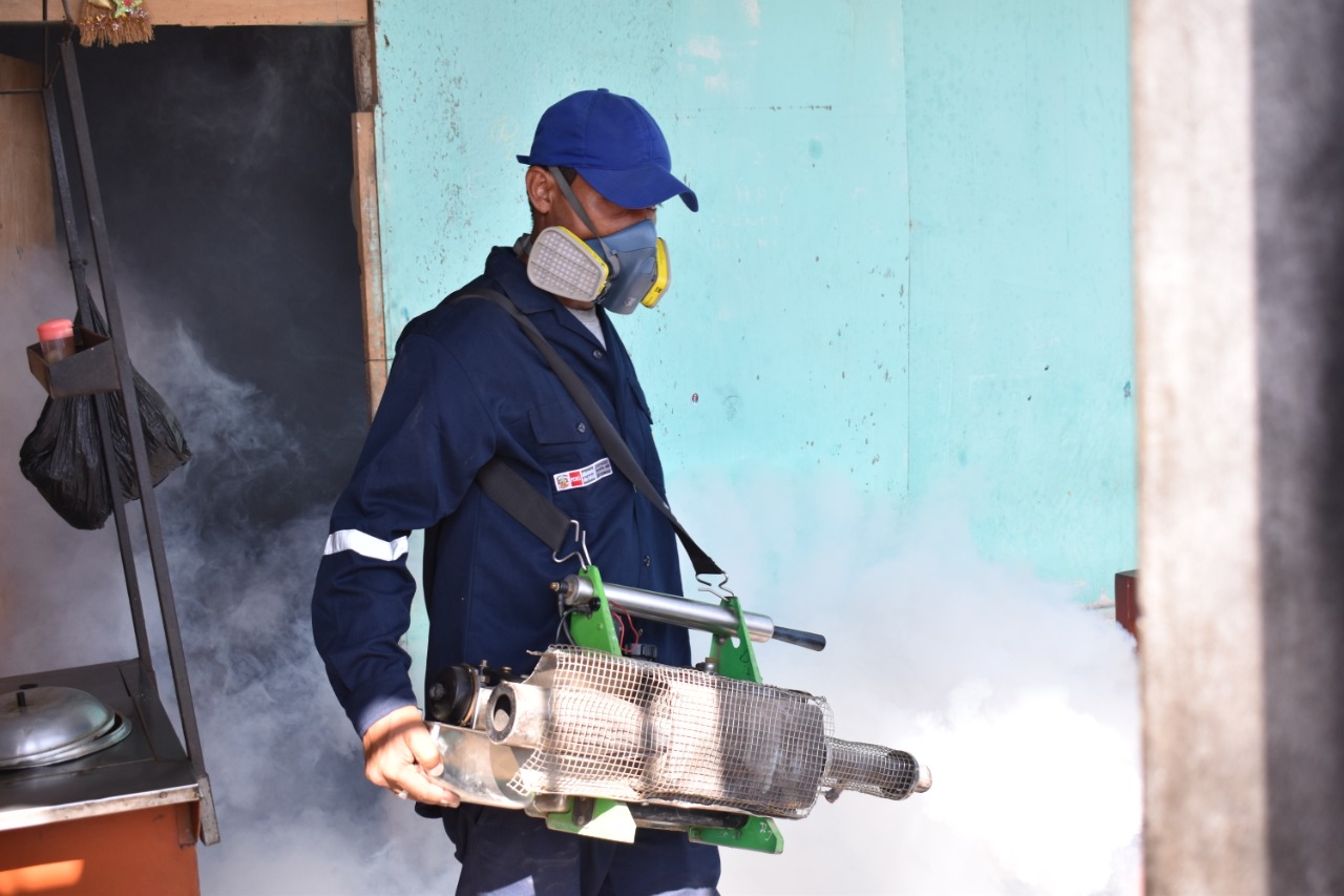 Desde hoy y hasta el 30 de octubre realizan campaña de fumigación en ...