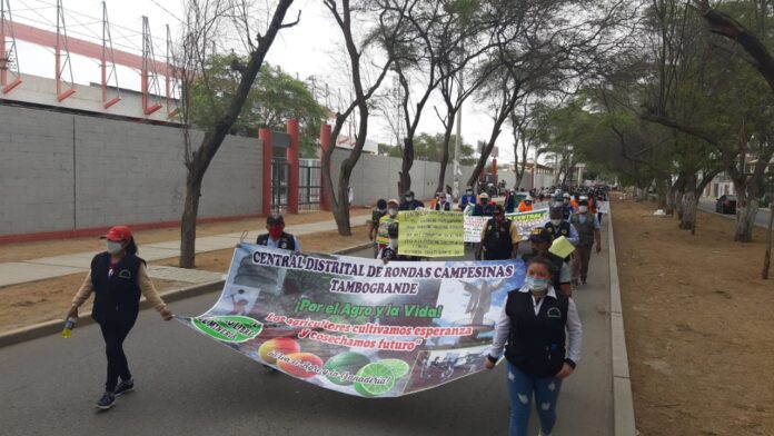 rondas campesinas