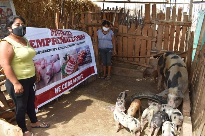 cura-mori-familias (1)