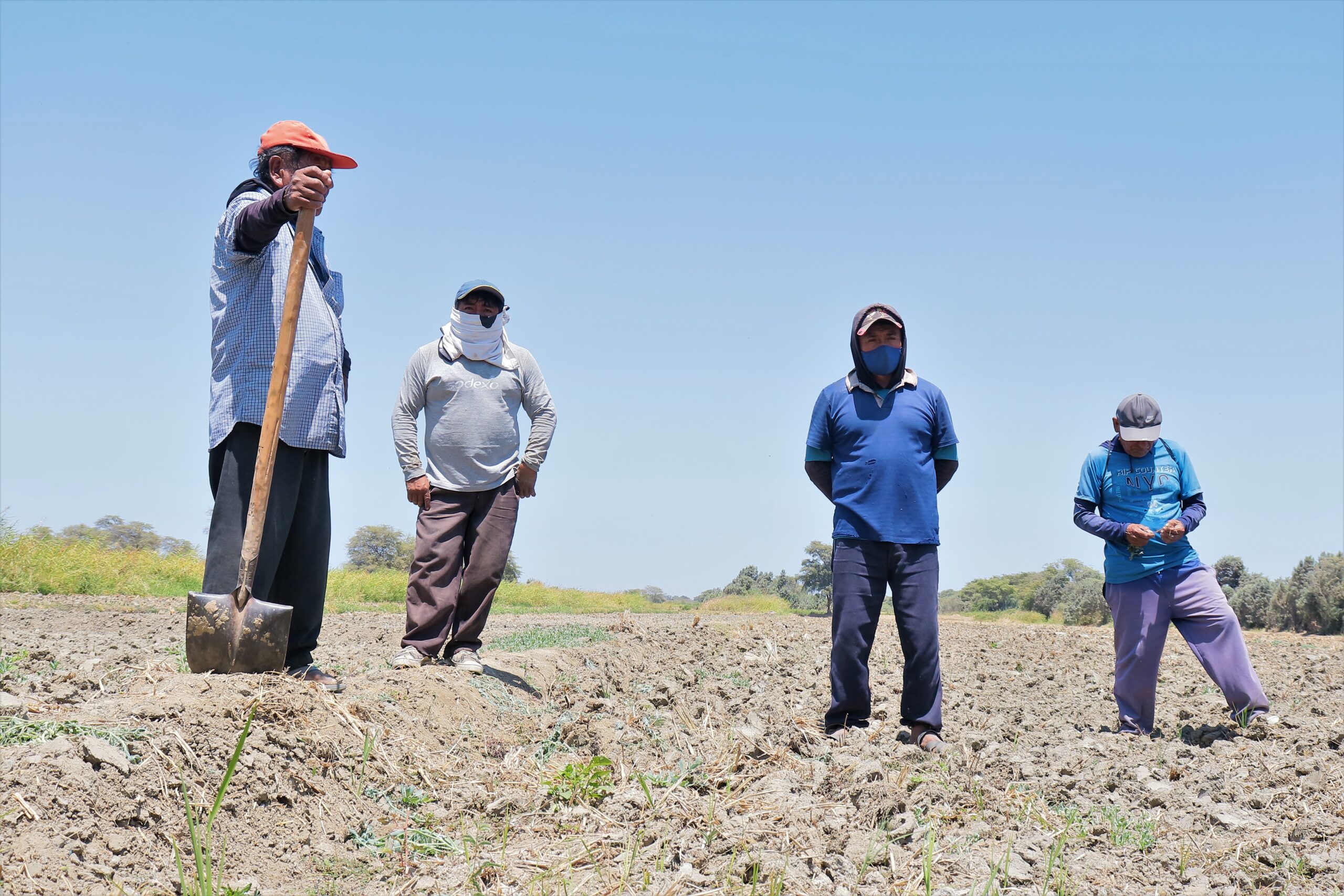 “Los pequeños agricultores nunca paramos en la pandemia, pero ¿qué “Los pequeños agricultores nunca paramos en la pandemia, pero ¿qué