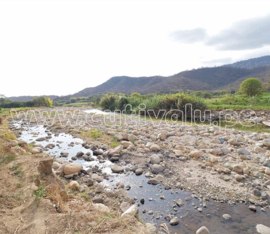 Morropón: exigen descolmatación del río Charanal ante temporada de lluvias