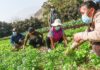 Campesinas y campesinos siguen luchando por sus derechos