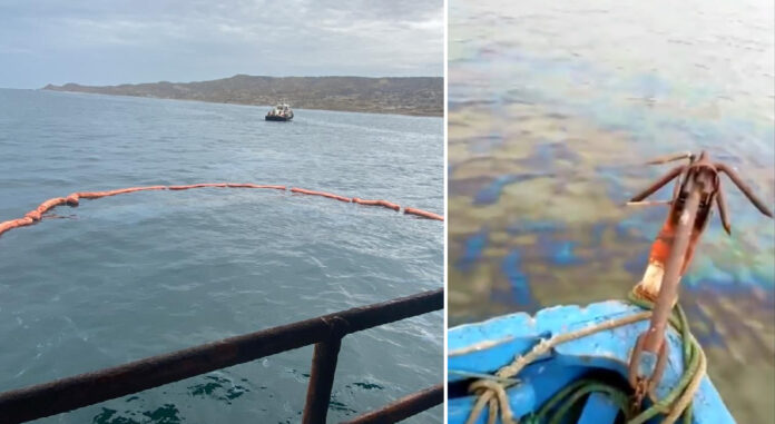 DERRAME SAVIA - PORT