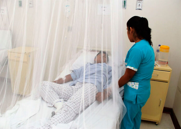 dengue