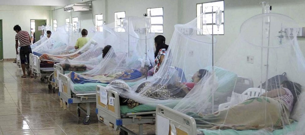 Piura ocupa el primer lugar en casos por dengue a nivel nacional - Cutivalú  Piura