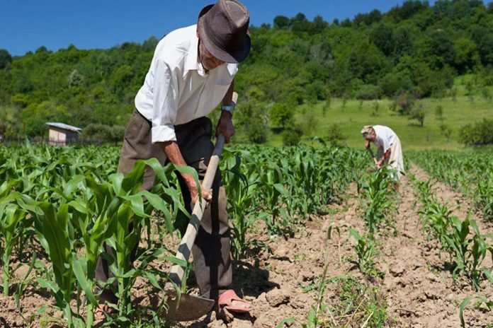 58527_agro1
