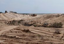 Los comuneros denuncian la tala indiscriminada de más de mil hectáreas en terreno judicializado./ Foto: Cutivalú.