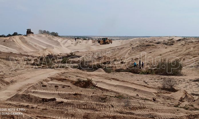 Los comuneros denuncian la tala indiscriminada de más de mil hectáreas en terreno judicializado./ Foto: Cutivalú.