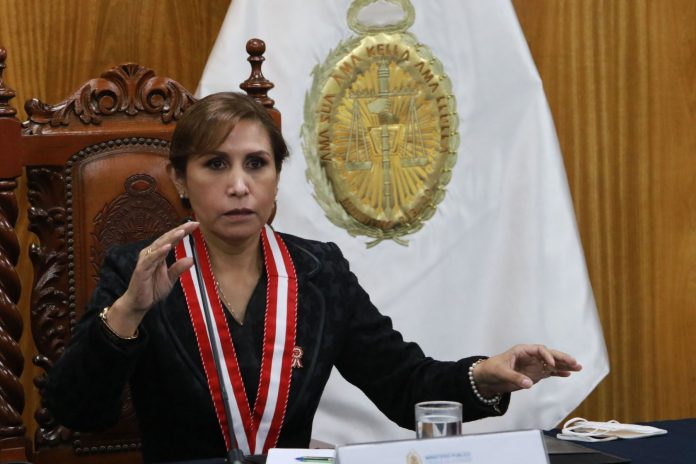 Patricia-Benavides-Vargas-4