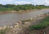 Chulucanas: alrededor de 6 mil hectáreas de cultivos en riesgo por posibles inundaciones del río Yapatera