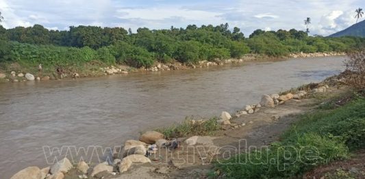 Chulucanas: alrededor de 6 mil hectáreas de cultivos en riesgo por posibles inundaciones del río Yapatera