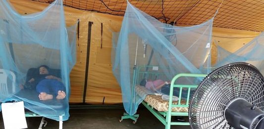 Piura: Casos de dengue con signos de alarma se han triplicado, afirma el CMP
