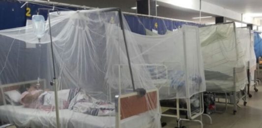Piura: casos de dengue alcanzan el pico más alto en los últimos 6 años Alerta en Piura: Más de 9500 pacientes y 13 muertos por dengue en la región