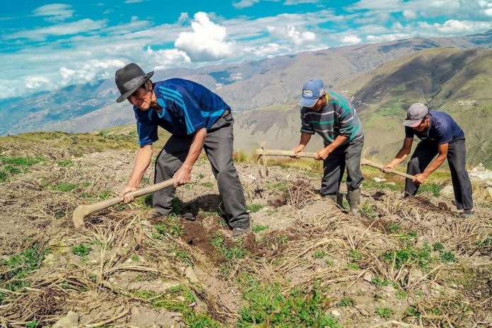 agricultores