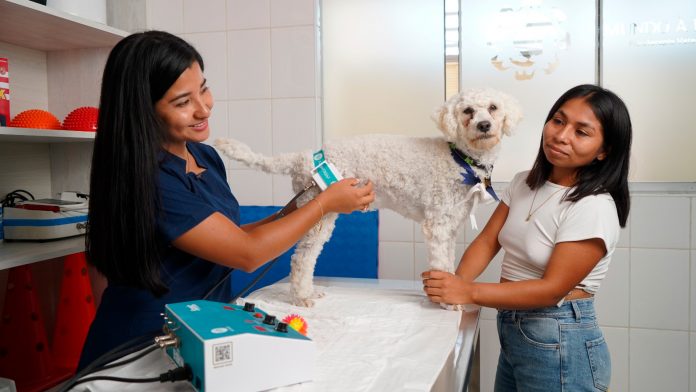 veterinaria