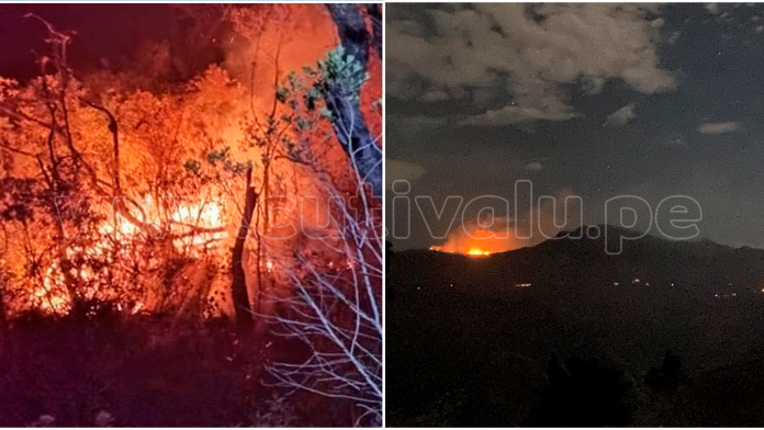 Incendio forestal en Ayabaca