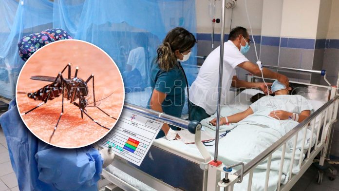 Casos de dengue