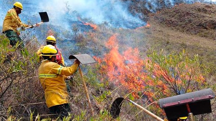 Incendio forestal