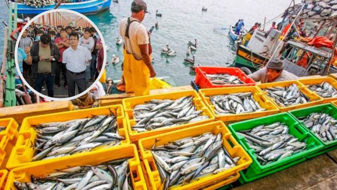 ANCHOVETEROS