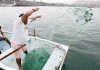 Pago del bono para pescadores inicia en diciembre