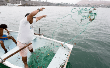 Pago del bono para pescadores inicia en diciembre