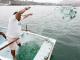 Pago del bono para pescadores inicia en diciembre