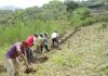 Tambogrande: exigen priorizar la reactivación del sector agrario