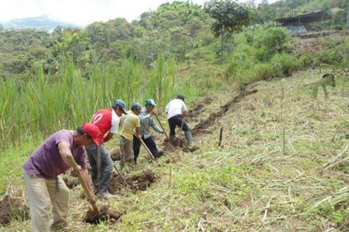 Tambogrande: exigen priorizar la reactivación del sector agrario