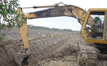 Tambogrande: inician trabajos en quebradas y drenes para mitigar daños agrícolas