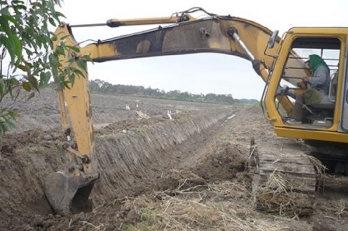 Tambogrande: inician trabajos en quebradas y drenes para mitigar daños agrícolas