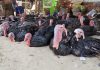 Navidad en Piura: inicia la venta de pavos y más opciones para esta cena navideña 2023