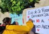 Colegio Médico Veterinario de Piura rechaza avenamiento de mascotas en Ayabaca