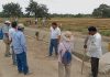 Piura agricultores exigen atención de Agrobanco para instalar campaña grande