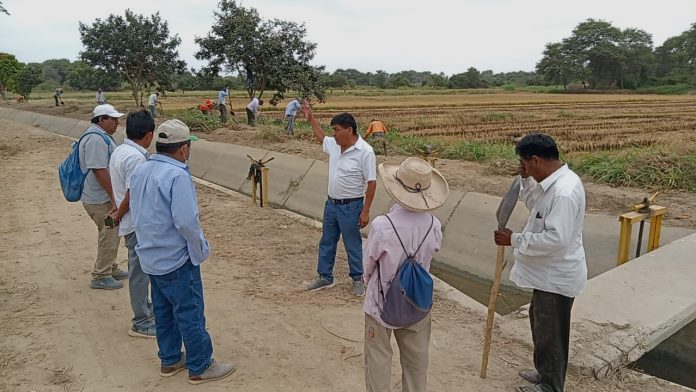 Piura agricultores exigen atención de Agrobanco para instalar campaña grande