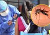 Vacuna contra el dengue tiene una efectividad importante, afirma el Colegio Médico de Piura