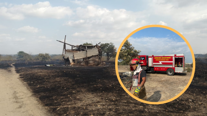 Piura: bomberos atienden incendio forestal que puso en riesgo a pobladores del caserío Las Mercedes
