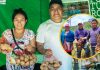 Piura: agricultores cultivan papas nativas con innovadoras prácticas agroecológicas
