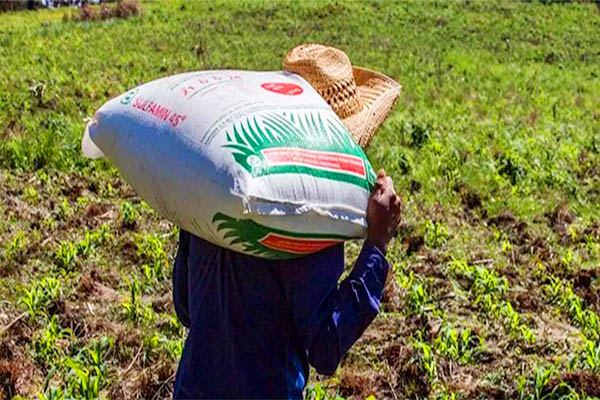 Agricultores del Medio y Bajo Piura piden créditos para compra de fertilizantes