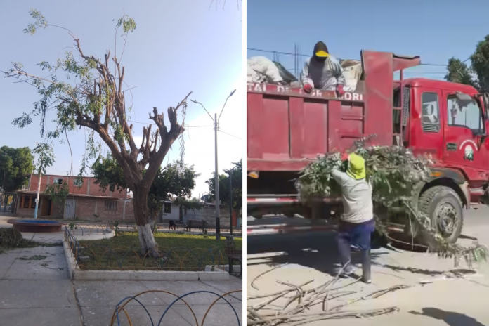 Cura Mori: vecinos rechazan poda de árboles ante sofocante calor