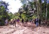 Derogación de la Ley Forestal en manos del PJ y TC