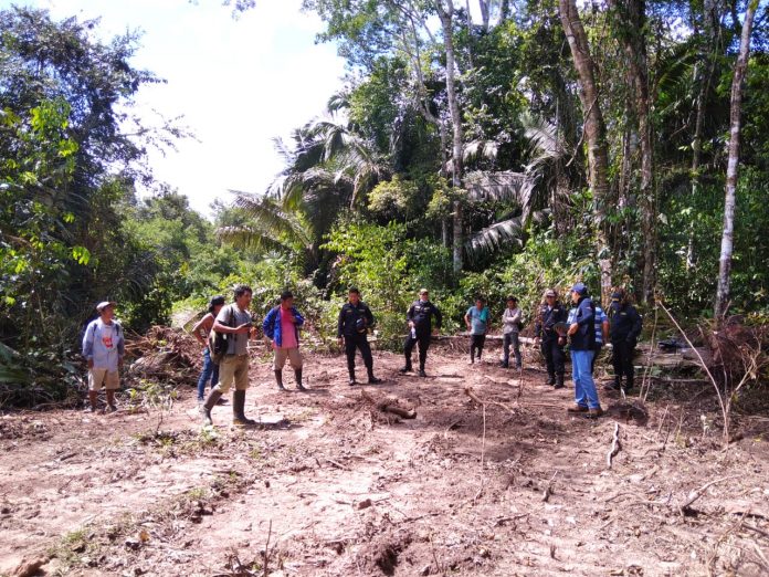 Derogación de la Ley Forestal en manos del PJ y TC