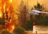 Chile: A 99 aumentó el número de muertos por incendios forestales