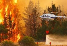 Chile: A 99 aumentó el número de muertos por incendios forestales