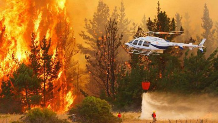 Chile: A 99 aumentó el número de muertos por incendios forestales