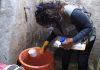 Dengue en Piura: plantean multar a vecinos que no permitan control larvario en sus viviendas