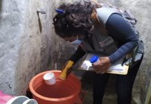 Dengue en Piura: plantean multar a vecinos que no permitan control larvario en sus viviendas