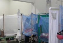 Piura: más de 1.499 casos de dengue, piden la no automedicación