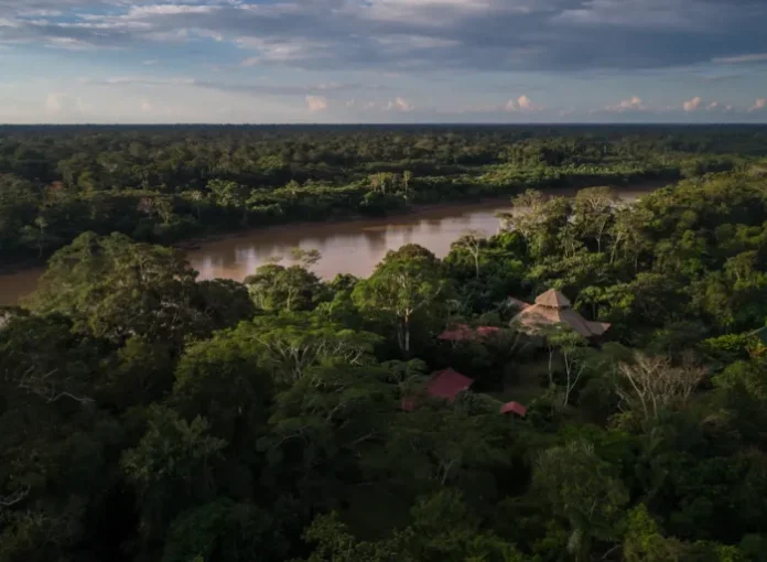 Ejecutivo propone modificar la Ley Forestal para permitir inspecciones de especies protegidas