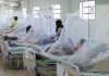Diresa reporta cerca de 5 mil casos y 8 defunciones por dengue